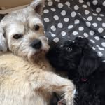 Fred & Mabel - @fredandmabel_ - Instagram