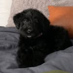 Winnie - @winnifredrinkevichmacaulay - Instagram