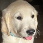 Fred Macdonald - @fredrickgeorgemacdonald - Instagram