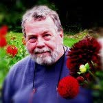 Fred Macdonald - @fredmacdonald - Instagram