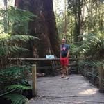 Fred MacDonald - @macdonald_fred - Instagram