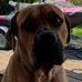 Fred Mack - Facebook