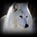 Fred Mackedanz - Facebook