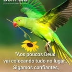 Gilfredo Mackedanz - @gilfredomackedanz - Instagram