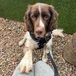Freddy - @freddynmadden - Instagram