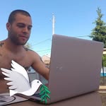 Fred Madison - @fredmadison7_fx - Instagram