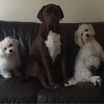 Fred Mahon - @mahonfred - Instagram