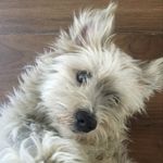 Fred Mahon - @princessivy317 - Instagram