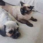 Fred_Maia - @fred_maia1 - Instagram