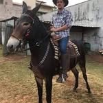Fred Maia Bueno - @fredmaiabueno - Instagram
