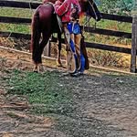 fred maia da Silva - @fred_maia_068 - Instagram