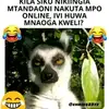 Fredmaish305 - @user6182670995988 - TikTok