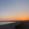 freddie - @freddie.major - TikTok