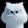 Fred Malick - @fred.malick64 - TikTok