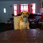 Fred Mandel - @tapgp626aol.com6 - Instagram