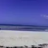 Fred Ole Manrique - @fred.ole.manrique - TikTok
