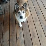 @mansfield_fred - Instagram