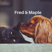 Fred &amp; Maple - Facebook