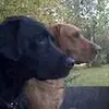 fredmaples635 - @fredmaples635 - TikTok