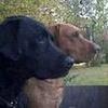 fredmaples635 - @fredmaples635 - TikTok