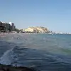 Fredd Marc - @fredd.marc - TikTok