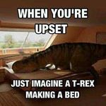 Fred Masterson - @fred_masterson - Instagram