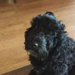 Fred Mathias - @fred_mathias_ - Instagram