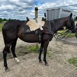Fred Matthew Davies - @freddaviess1 - Instagram