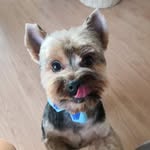 Fred May - @soufred_may - Instagram