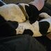Fred Mayberry - Facebook