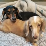 Fred & Mayo - @fred__mayo - Instagram