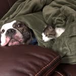 @fred_mayo_ - Instagram