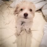 Freddie McCurdy - @freddie.mccurdy - Instagram