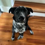 Fred McGowan - @fred.mcgowan - Instagram