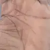 fred mcgowan - @fred.mcgowan - TikTok