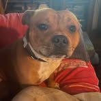 Fred McGregor - Facebook