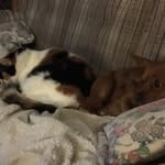 Fred Mckay - @mckay.fred - Instagram