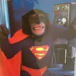 Fred Mckay - @fred.mckay.775 - Instagram