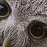 Fred McKay - @fred.mckay.5494 - Instagram