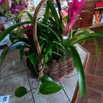 Freda Eastabrook Gaddy - @mcnulty_freda - Instagram