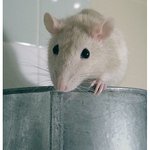 Frederick McNulty - @frederickmcnulty - Instagram