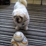 Fred Meaden - @fredmeaden - Instagram