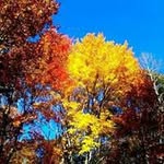 Fred Meadows - @fred.meadows - Instagram