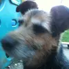 Fred Melton - @fredmelt - TikTok