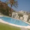 fredfox123 - @alfredhammelton - TikTok
