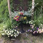 Fred Menzel - @menzel67 - Instagram
