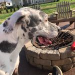 Fred Meyer - @fredmeyer4 - Instagram
