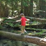 Meyer Smith - @fred_meyer_whole_sales - Instagram