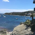 Fred Millard - @fricket61 - Instagram