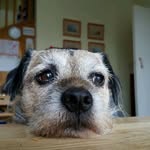 Fred Milne - @fred.milne - Instagram